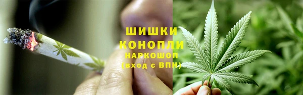 ГАЛЛЮЦИНОГЕННЫЕ ГРИБЫ Баксан