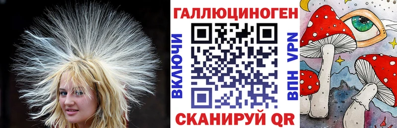 где продают   Кулебаки  Псилоцибиновые грибы мицелий 